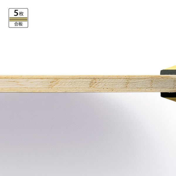 Timo Boll J FL